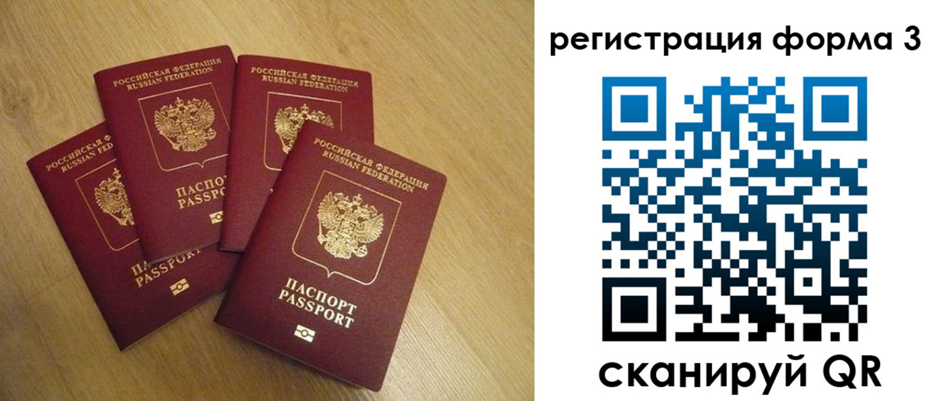 прописка для школы в Кировске